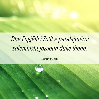 Picture 06 - Zakaria 3:6 ALB - Dhe Engjëlli i Zotit e paralajmëroi solemnisht - Bible Verse Picture