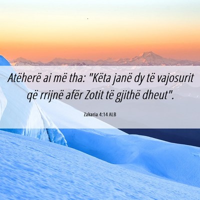 Picture 06 - Zakaria 4:14 ALB - Atëherë ai më tha: 