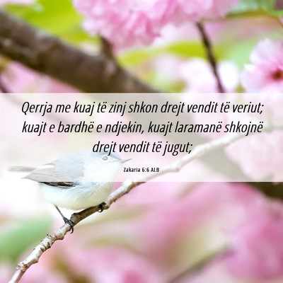 Picture 06 - Zakaria 6:6 ALB - Qerrja me kuaj të zinj shkon drejt vendit të - Bible Verse Picture
