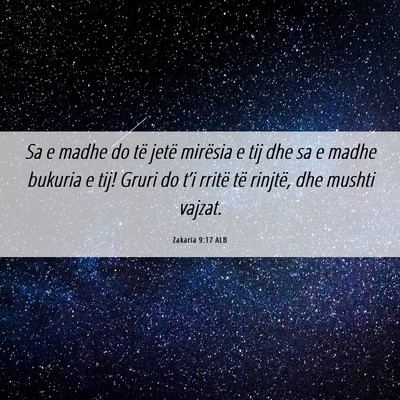 Picture 06 - Zakaria 9:17 ALB - Sa e madhe do të jetë mirësia e tij dhe sa e - Bible Verse Picture