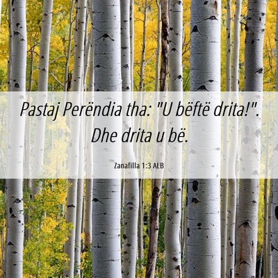 Picture 06 - Zanafilla 1:3 ALB - Pastaj Perëndia tha: 