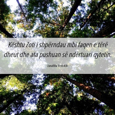Picture 06 - Zanafilla 11:8 ALB - Kështu Zoti i shpërndau mbi faqen e tërë - Bible Verse Picture
