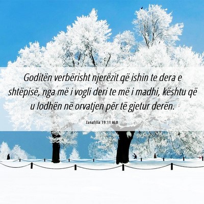 Picture 06 - Zanafilla 19:11 ALB - Goditën verbërisht njerëzit që ishin te dera - Bible Verse Picture