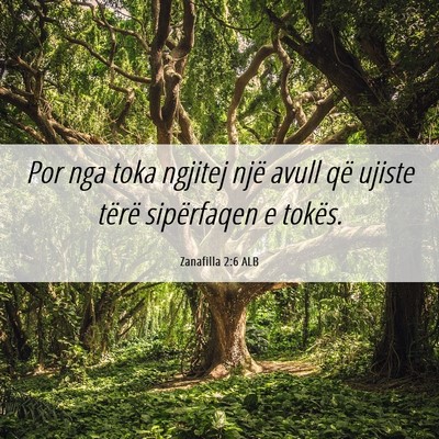 Picture 06 - Zanafilla 2:6 ALB - Por nga toka ngjitej një avull që ujiste tërë - Bible Verse Picture