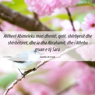 Picture 06 - Zanafilla 20:14 ALB - Atëherë Abimeleku mori dhentë, qetë, - Bible Verse Picture