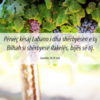 Picture 06 - Zanafilla 29:29 ALB - Përveç kësaj Labano i dha shërbyesen e tij - Bible Verse Picture