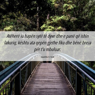 Picture 06 - Zanafilla 3:7 ALB - Atëherë iu hapën sytë të dyve dhe e panë - Bible Verse Picture