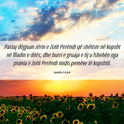 Picture 06 - Zanafilla 3:8 ALB - Pastaj dëgjuan zërin e Zotit Perëndi që - Bible Verse Picture