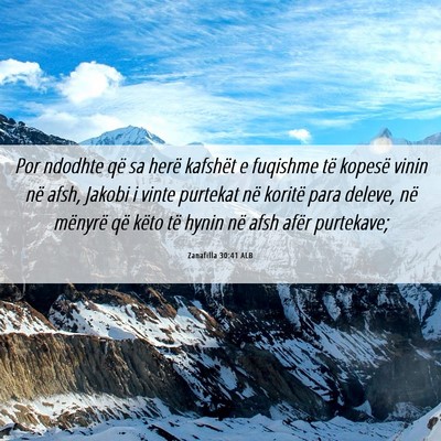 Picture 06 - Zanafilla 30:41 ALB - Por ndodhte që sa herë kafshët e fuqishme të - Bible Verse Picture