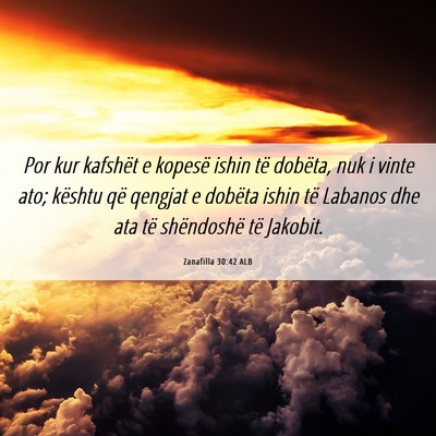 Picture 06 - Zanafilla 30:42 ALB - Por kur kafshët e kopesë ishin të dobëta, nuk - Bible Verse Picture