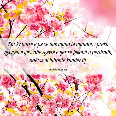 Picture 06 - Zanafilla 32:25 ALB - Kur ky burrë e pa se nuk mund ta mundte, i preku - Bible Verse Picture