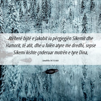 Picture 06 - Zanafilla 34:13 ALB - Atëherë bijtë e Jakobit iu përgjegjën - Bible Verse Picture