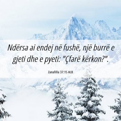 Picture 06 - Zanafilla 37:15 ALB - Ndërsa ai endej në fushë, një burrë e gjeti - Bible Verse Picture