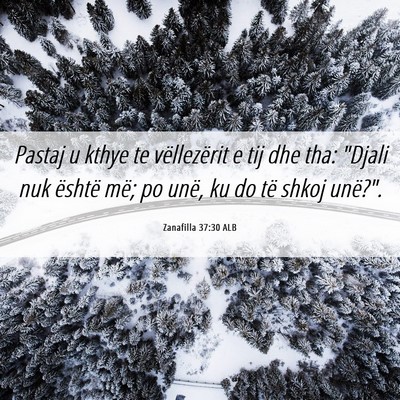Picture 06 - Zanafilla 37:30 ALB - Pastaj u kthye te vëllezërit e tij dhe tha: - Bible Verse Picture