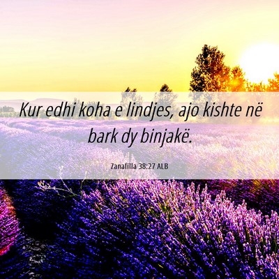 Picture 06 - Zanafilla 38:27 ALB - Kur edhi koha e lindjes, ajo kishte në bark dy - Bible Verse Picture