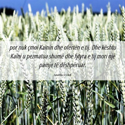Picture 06 - Zanafilla 4:5 ALB - por nuk çmoi Kainin dhe ofertën e tij. Dhe - Bible Verse Picture