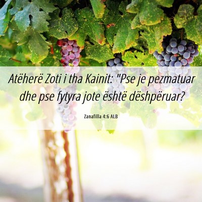 Picture 06 - Zanafilla 4:6 ALB - Atëherë Zoti i tha Kainit: 