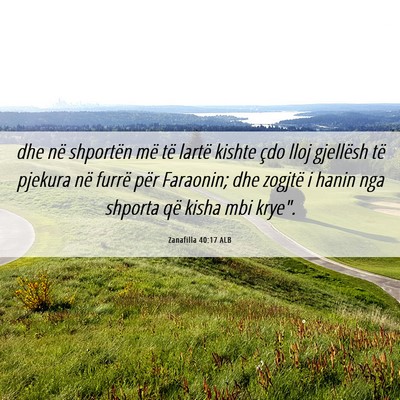 Picture 06 - Zanafilla 40:17 ALB - dhe në shportën më të lartë kishte çdo lloj - Bible Verse Picture
