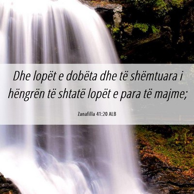 Picture 06 - Zanafilla 41:20 ALB - Dhe lopët e dobëta dhe të shëmtuara i - Bible Verse Picture
