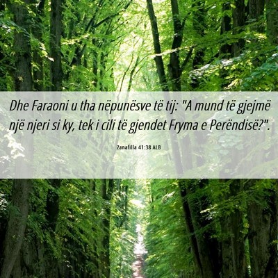 Picture 06 - Zanafilla 41:38 ALB - Dhe Faraoni u tha nëpunësve të tij: 