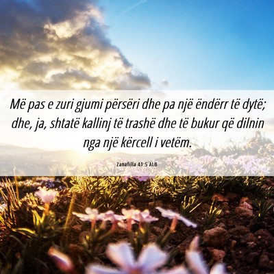 Picture 06 - Zanafilla 41:5 ALB - Më pas e zuri gjumi përsëri dhe pa një - Bible Verse Picture