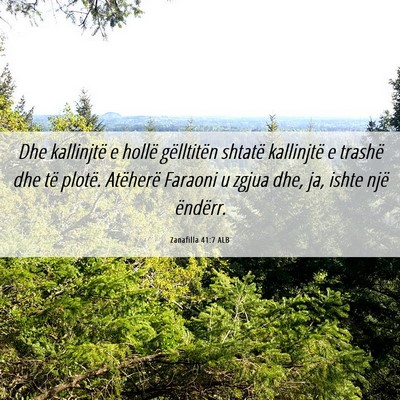 Picture 06 - Zanafilla 41:7 ALB - Dhe kallinjtë e hollë gëlltitën shtatë - Bible Verse Picture