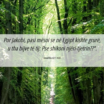 Picture 06 - Zanafilla 42:1 ALB - Por Jakobi, pasi mësoi se në Egjipt kishte - Bible Verse Picture