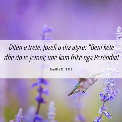 Picture 06 - Zanafilla 42:18 ALB - Ditën e tretë, Jozefi u tha atyre: 