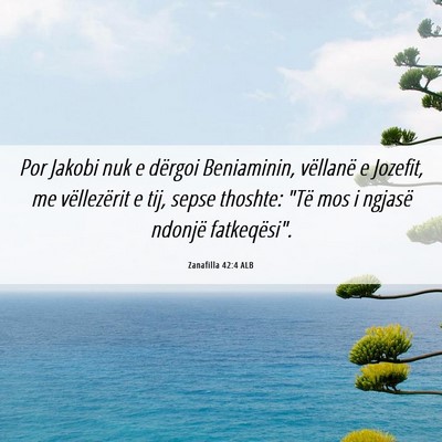 Picture 06 - Zanafilla 42:4 ALB - Por Jakobi nuk e dërgoi Beniaminin, vëllanë e - Bible Verse Picture