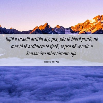 Picture 06 - Zanafilla 42:5 ALB - Bijtë e Izraelit arritën aty, pra, për të - Bible Verse Picture
