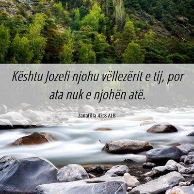 Picture 06 - Zanafilla 42:8 ALB - Kështu Jozefi njohu vëllezërit e tij, por ata - Bible Verse Picture