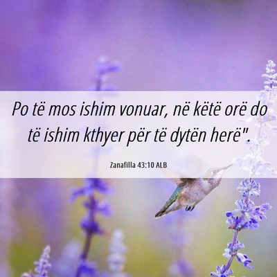 Picture 06 - Zanafilla 43:10 ALB - Po të mos ishim vonuar, në këtë orë do të - Bible Verse Picture