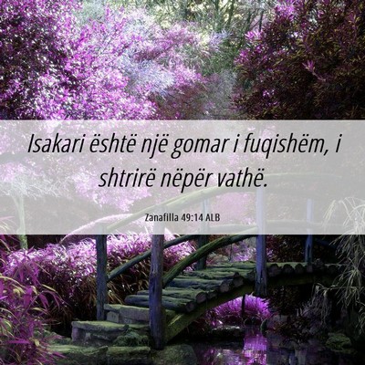 Picture 06 - Zanafilla 49:14 ALB - Isakari është një gomar i fuqishëm, i - Bible Verse Picture