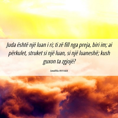 Picture 06 - Zanafilla 49:9 ALB - Juda është një luan i ri; ti zë fill nga - Bible Verse Picture