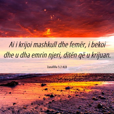 Picture 06 - Zanafilla 5:2 ALB - Ai i krijoi mashkull dhe femër, i bekoi dhe u - Bible Verse Picture