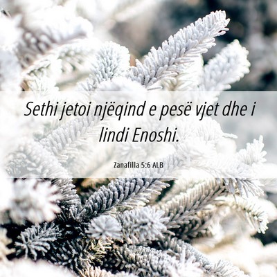 Picture 06 - Zanafilla 5:6 ALB - Sethi jetoi njëqind e pesë vjet dhe i lindi - Bible Verse Picture