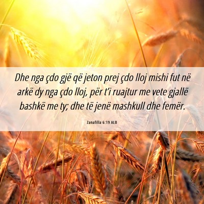 Picture 06 - Zanafilla 6:19 ALB - Dhe nga çdo gjë që jeton prej çdo lloj mishi - Bible Verse Picture