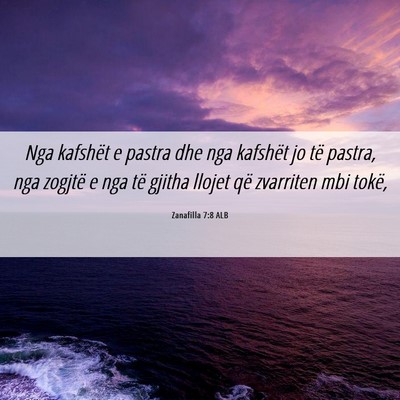 Picture 06 - Zanafilla 7:8 ALB - Nga kafshët e pastra dhe nga kafshët jo të - Bible Verse Picture