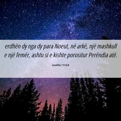 Picture 06 - Zanafilla 7:9 ALB - erdhën dy nga dy para Noeut, në arkë, një - Bible Verse Picture
