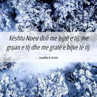 Picture 06 - Zanafilla 8:18 ALB - Kështu Noeu doli me bijtë e tij, me gruan e tij - Bible Verse Picture