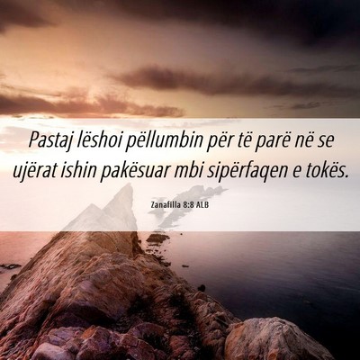 Picture 06 - Zanafilla 8:8 ALB - Pastaj lëshoi pëllumbin për të parë në se - Bible Verse Picture