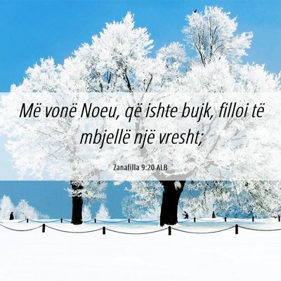 Picture 06 - Zanafilla 9:20 ALB - Më vonë Noeu, që ishte bujk, filloi të - Bible Verse Picture