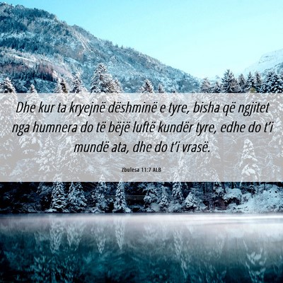 Picture 06 - Zbulesa 11:7 ALB - Dhe kur ta kryejnë dëshminë e tyre, bisha që - Bible Verse Picture