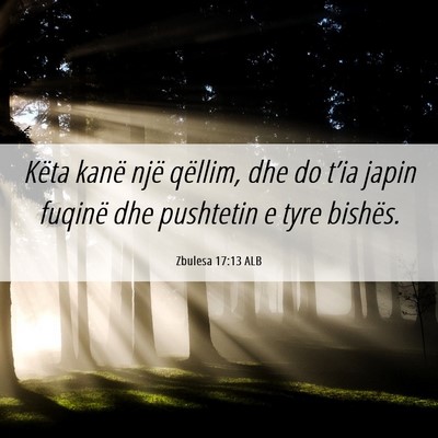 Picture 06 - Zbulesa 17:13 ALB - Këta kanë një qëllim, dhe do t’ia japin - Bible Verse Picture
