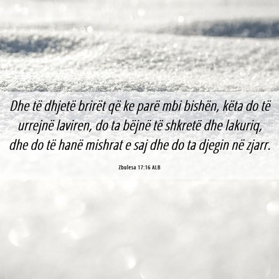 Picture 06 - Zbulesa 17:16 ALB - Dhe të dhjetë brirët që ke parë mbi bishën, - Bible Verse Picture