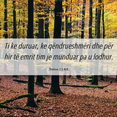 Picture 06 - Zbulesa 2:3 ALB - Ti ke duruar, ke qëndrueshmëri dhe për hir të - Bible Verse Picture