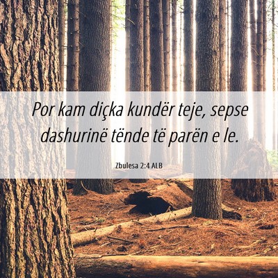 Picture 06 - Zbulesa 2:4 ALB - Por kam diçka kundër teje, sepse dashurinë - Bible Verse Picture