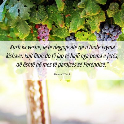 Picture 06 - Zbulesa 2:7 ALB - Kush ka veshë, le të dëgjojë atë që u - Bible Verse Picture