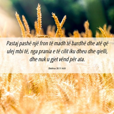 Picture 06 - Zbulesa 20:11 ALB - Pastaj pashë një fron të madh të bardhë dhe - Bible Verse Picture