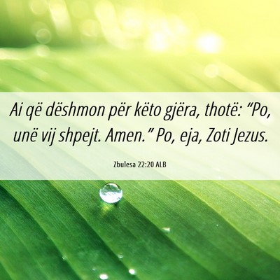 Picture 06 - Zbulesa 22:20 ALB - Ai që dëshmon për këto gjëra, thotë: “Po, - Bible Verse Picture